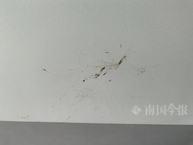 崩溃：全屋都是无法接受婚房被粪水浸泡！业主(图10)