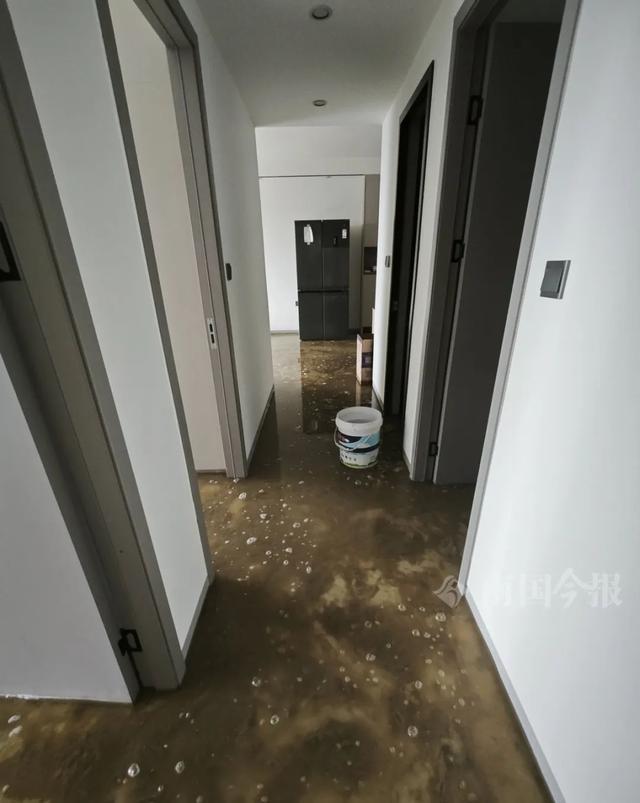 崩溃：全屋都是无法接受婚房被粪水浸泡！业主(图3)