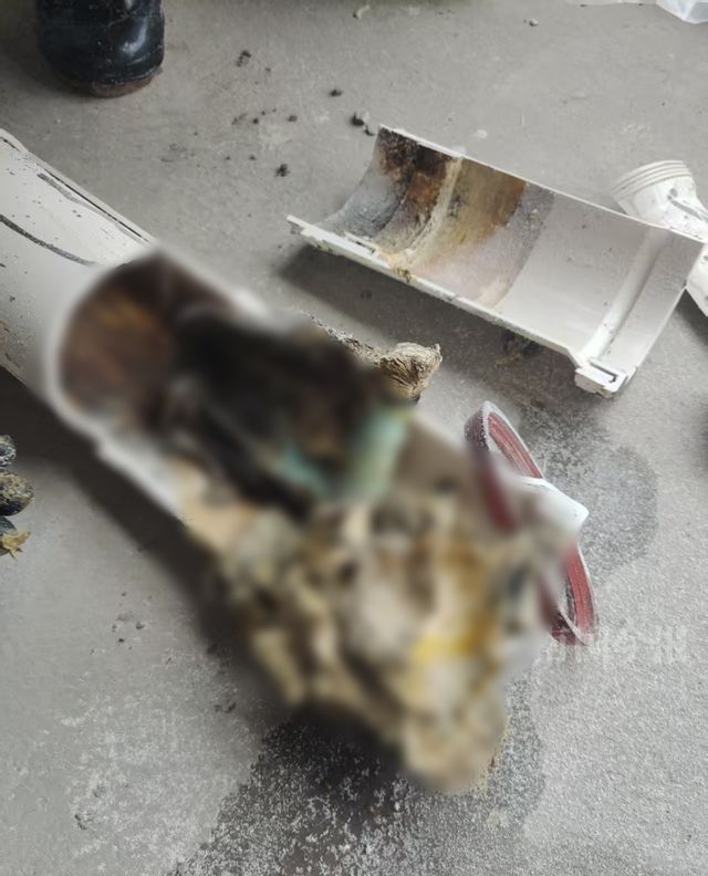 崩溃：全屋都是无法接受婚房被粪水浸泡！业主(图5)
