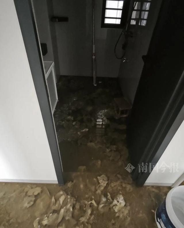 崩溃：全屋都是无法接受婚房被粪水浸泡！业主(图2)
