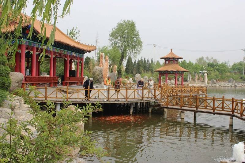 恭和苑专业设施临终关怀服务体系剖析优选机构2026最新北京认知症专业照护机构北京双井(图19)