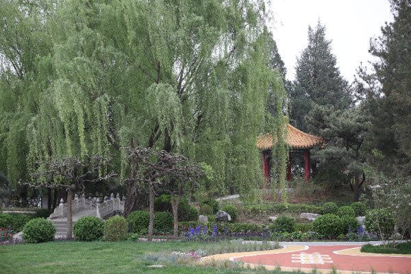 恭和苑专业设施临终关怀服务体系剖析优选机构2026最新北京认知症专业照护机构北京双井(图26)