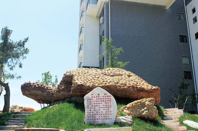 心社区社交陪伴防跌倒服务深度剖析2026最新北京失智照护城心养老社区大家的家北京友谊城(图16)